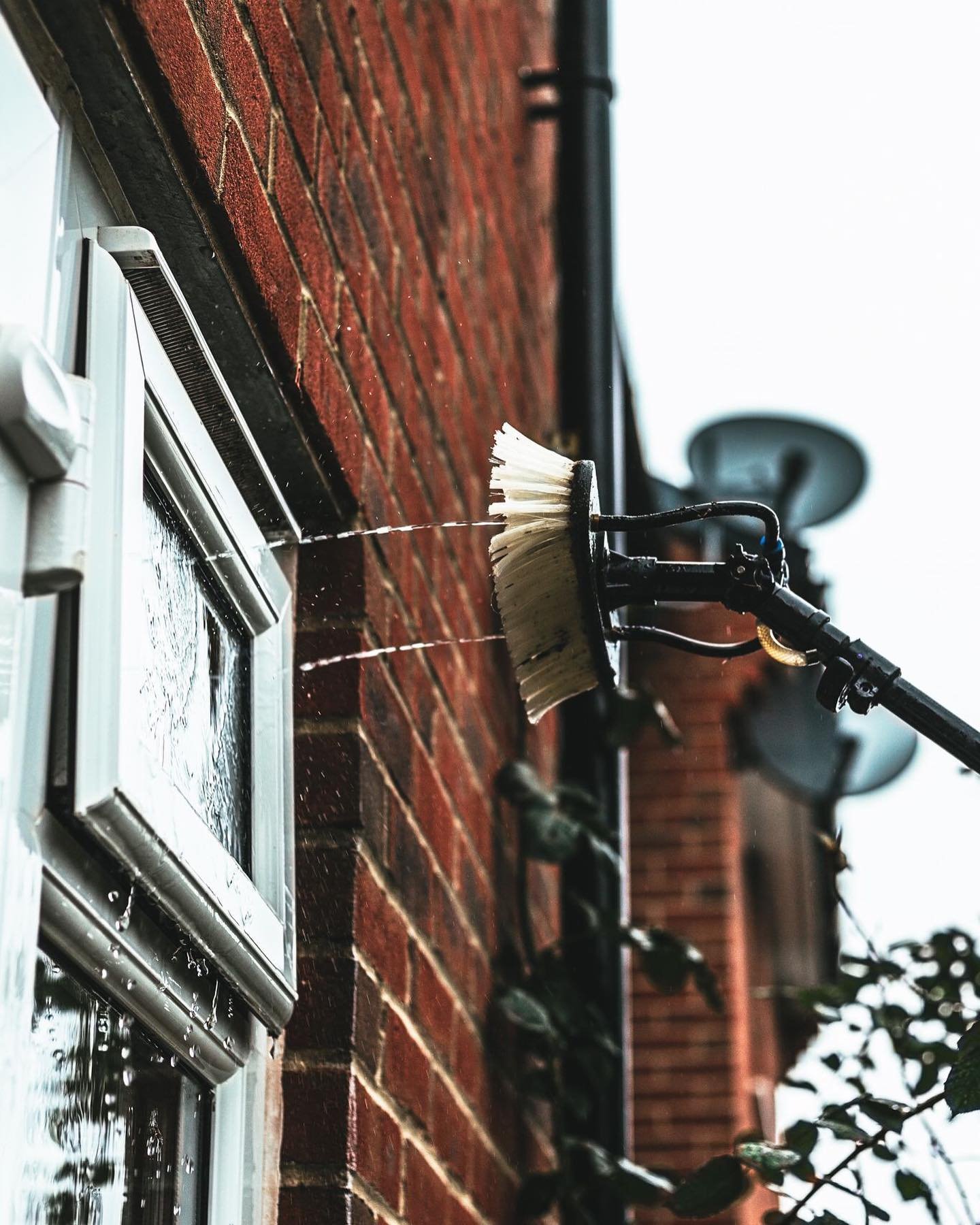 Commercial - Cleaners - Clean - Company - Window - Carpet - Gutter - Driveway - Pressure Washing - Wellington - Taunton - Tiverton - Bridgwater Cullompton - Roof - Moss